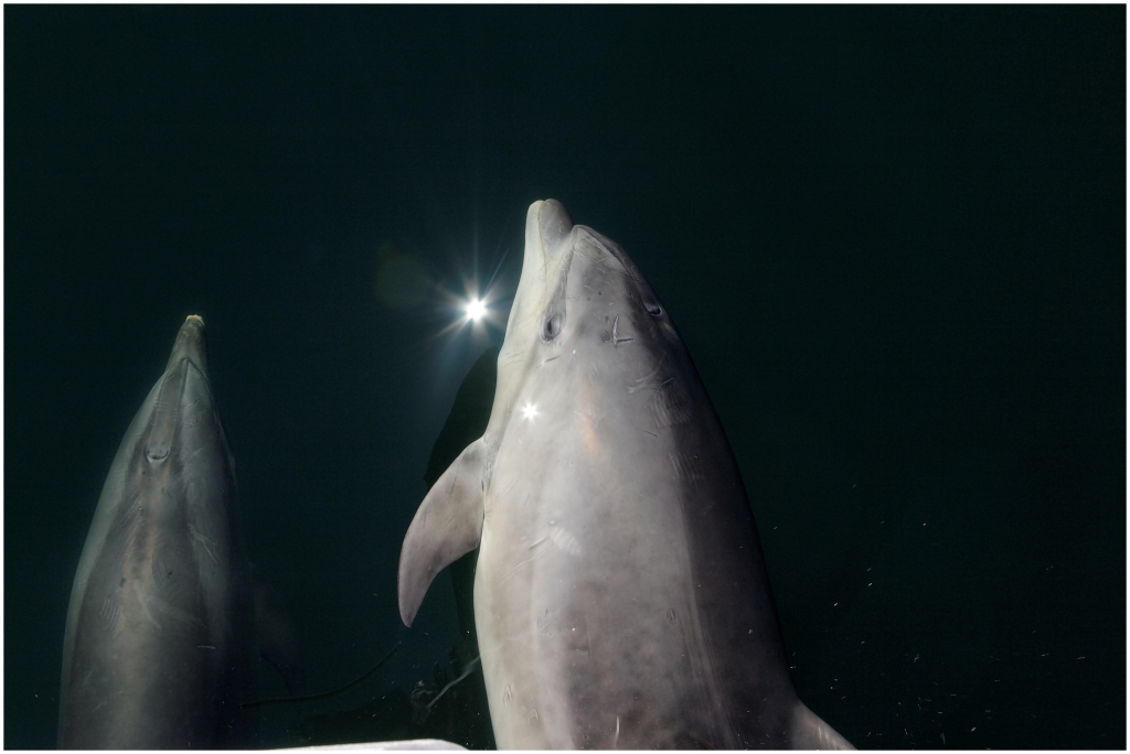 05 - Milford Sound (15).jpg